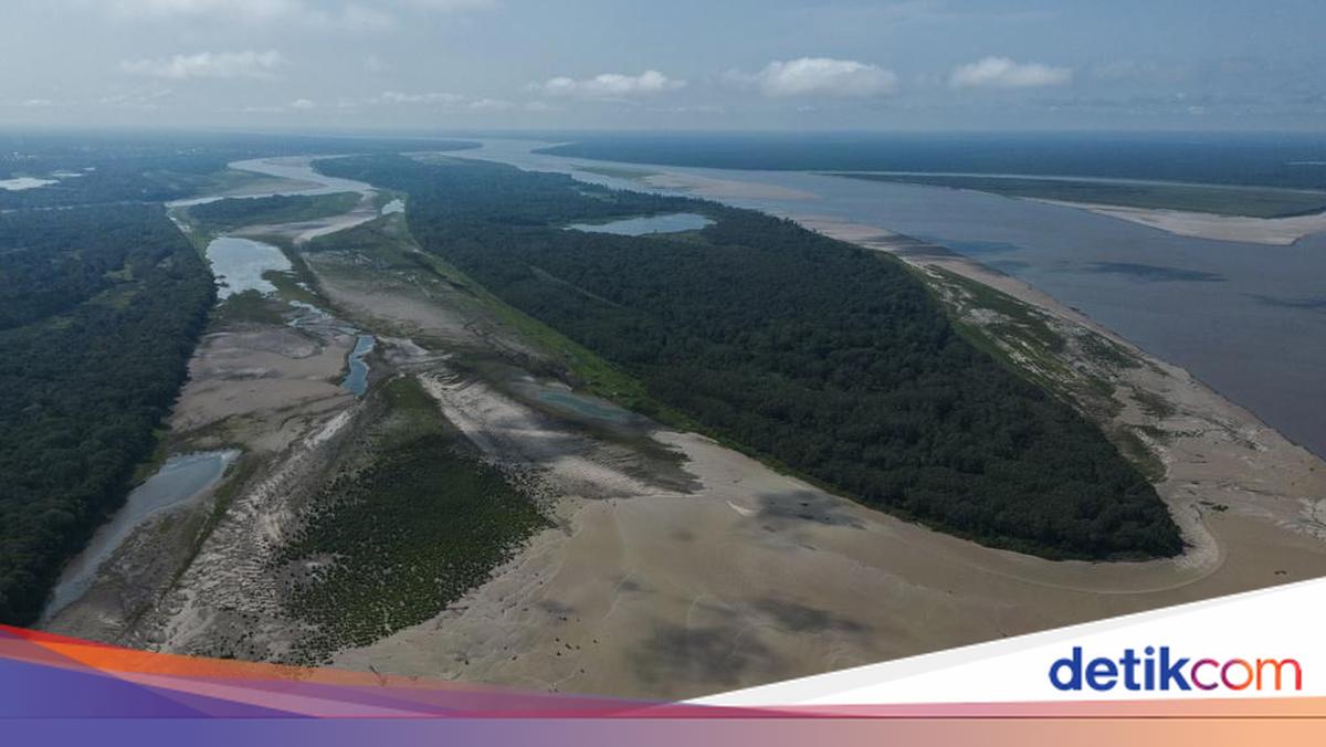 10 Delta Sungai Terluas di Dunia, Ada di Negara Mana Saja?