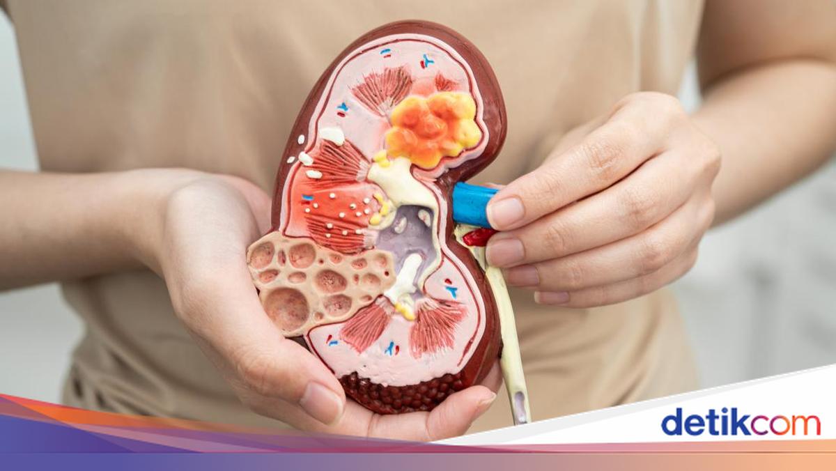 10 Fungsi Organ Ginjal yang Vital bagi Tubuh dan Cara Menjaganya