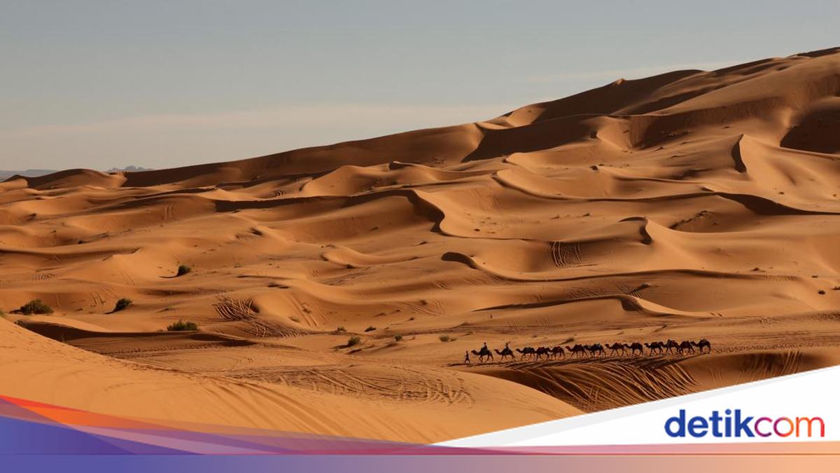 10 Gurun Terbesar di Dunia, Nomor Satu Bukan Sahara