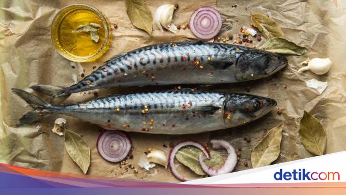 5 Ikan Tinggi Omega 3, Ada Alternatif Murah Selain Salmon