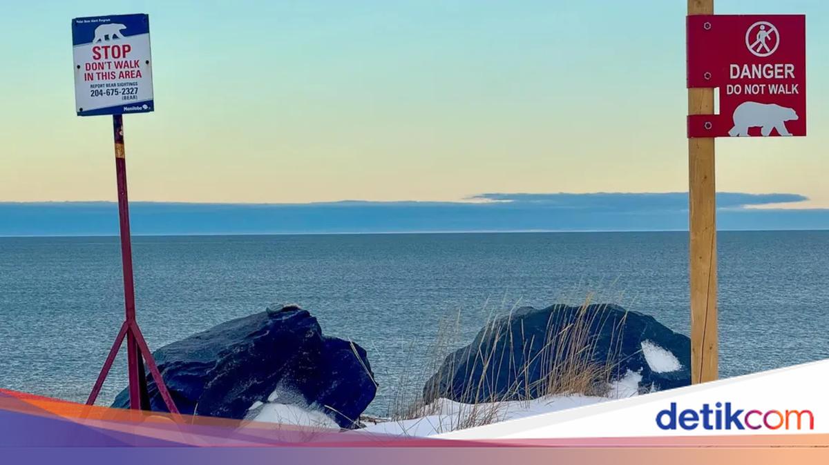 7 Teluk Terbesar di Dunia, Ada di Negara Mana?