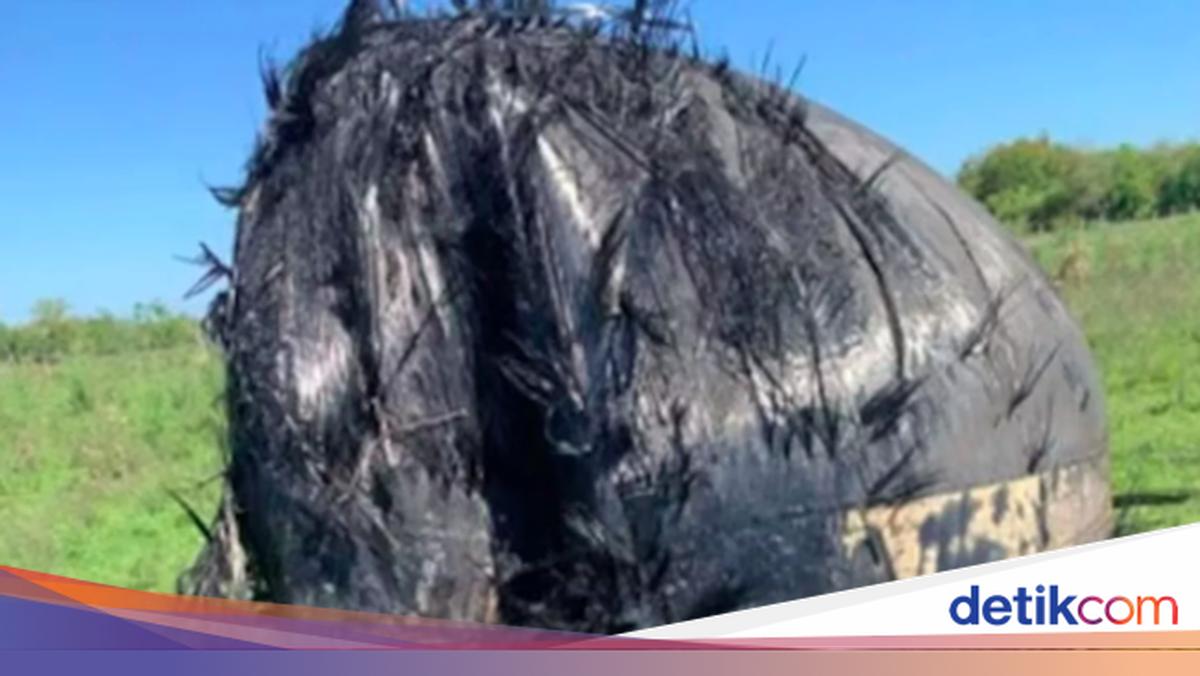 Ada Benda 'Berbulu' Misterius Jatuh di Negara Ini, Dari Luar Angkasa?