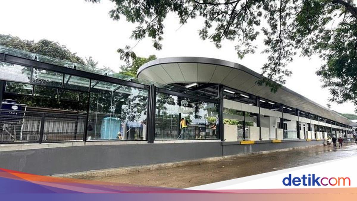 Akses Mudah ke Night at The Ragunan Zoo, Cukup Naik TransJakarta