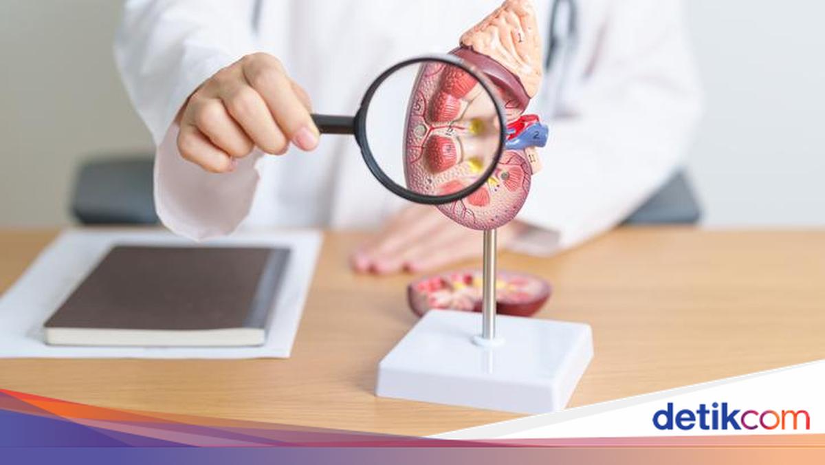 Batasi Konsumsi 5 Makanan Ini Agar Ginjal Tetap Sehat