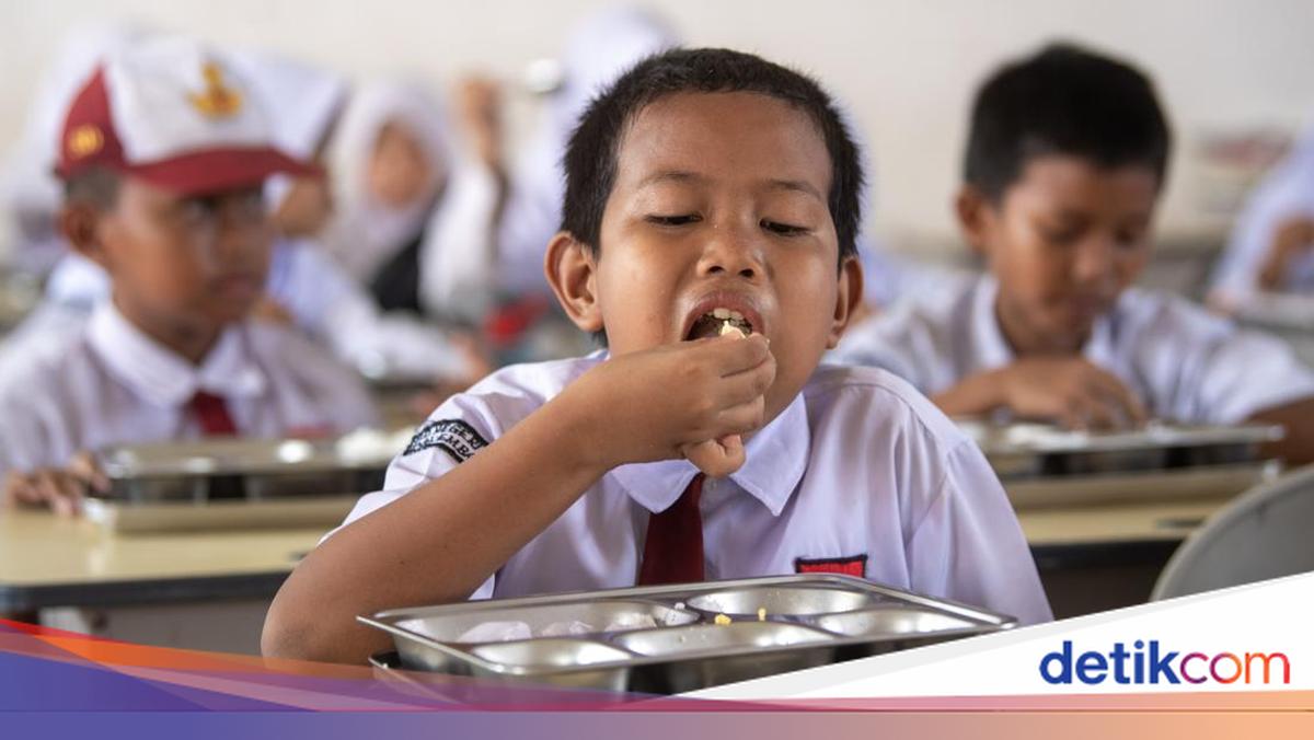 Begini Skema Pembagian Gizi di Menu MBG, Berbeda Tiap Jenjang Sekolah
