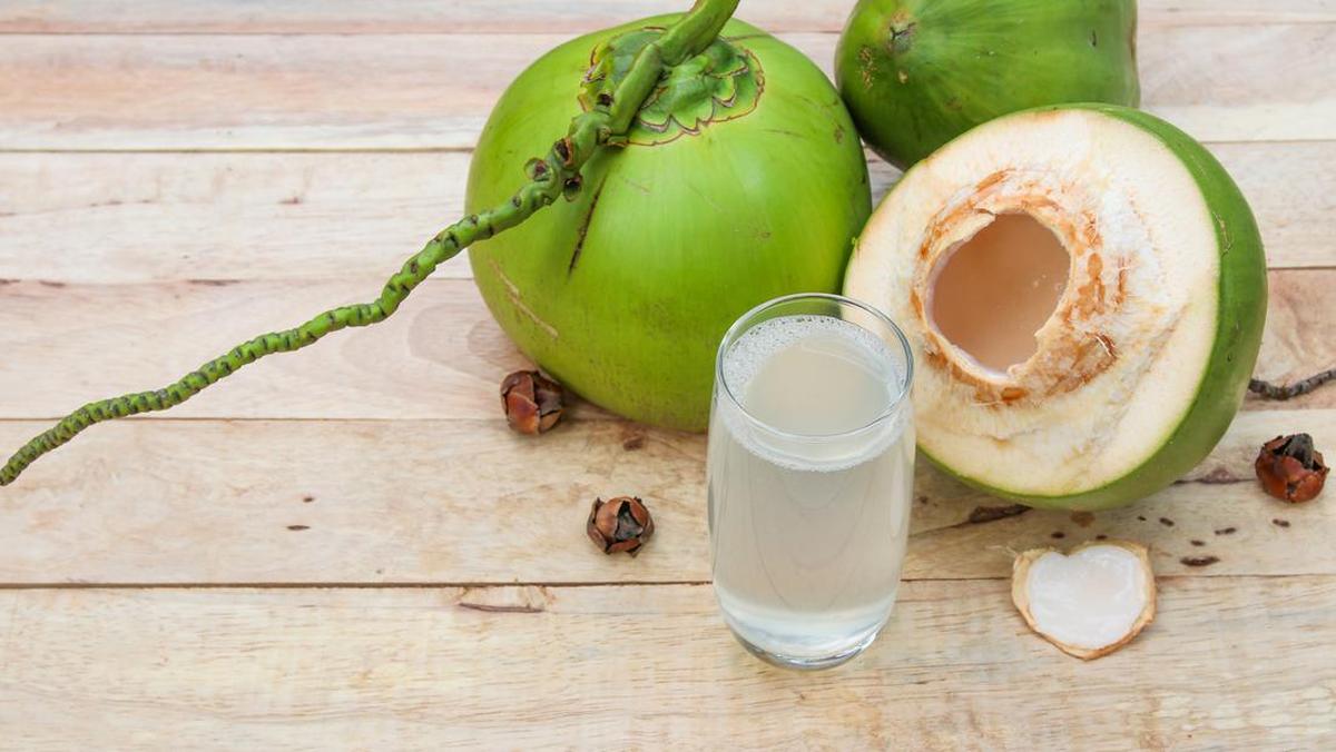 Benarkah Minum Air Kelapa Bisa Cegah Batu Ginjal? Begini Kata Peneliti IPB