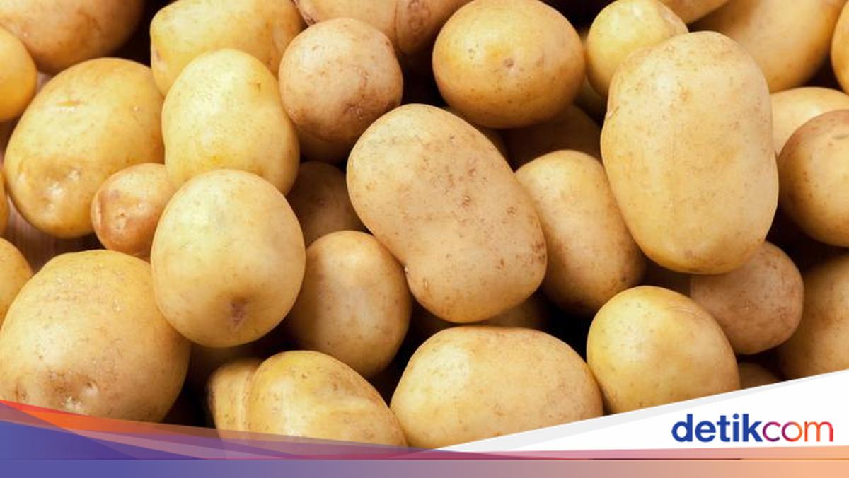Cara Simpan Kentang yang Benar, Simpel tapi Masih Banyak yang Keliru