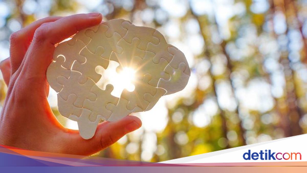Cegah Pikun! Ini 5 Makanan yang Bantu Otak Tetap Tajam saat Dewasa