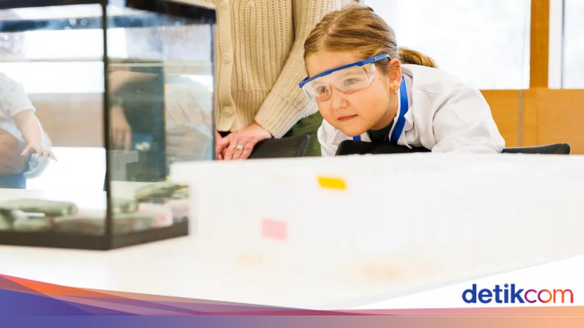 Cerita Marianne, Murid Kelas 1 SD yang Galang Dana Riset Rp 23 Juta