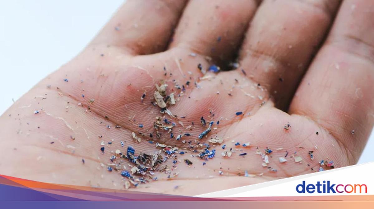 Fata Mengerikan Mikroplastik yang Bahayakan Kesehatan Manusia