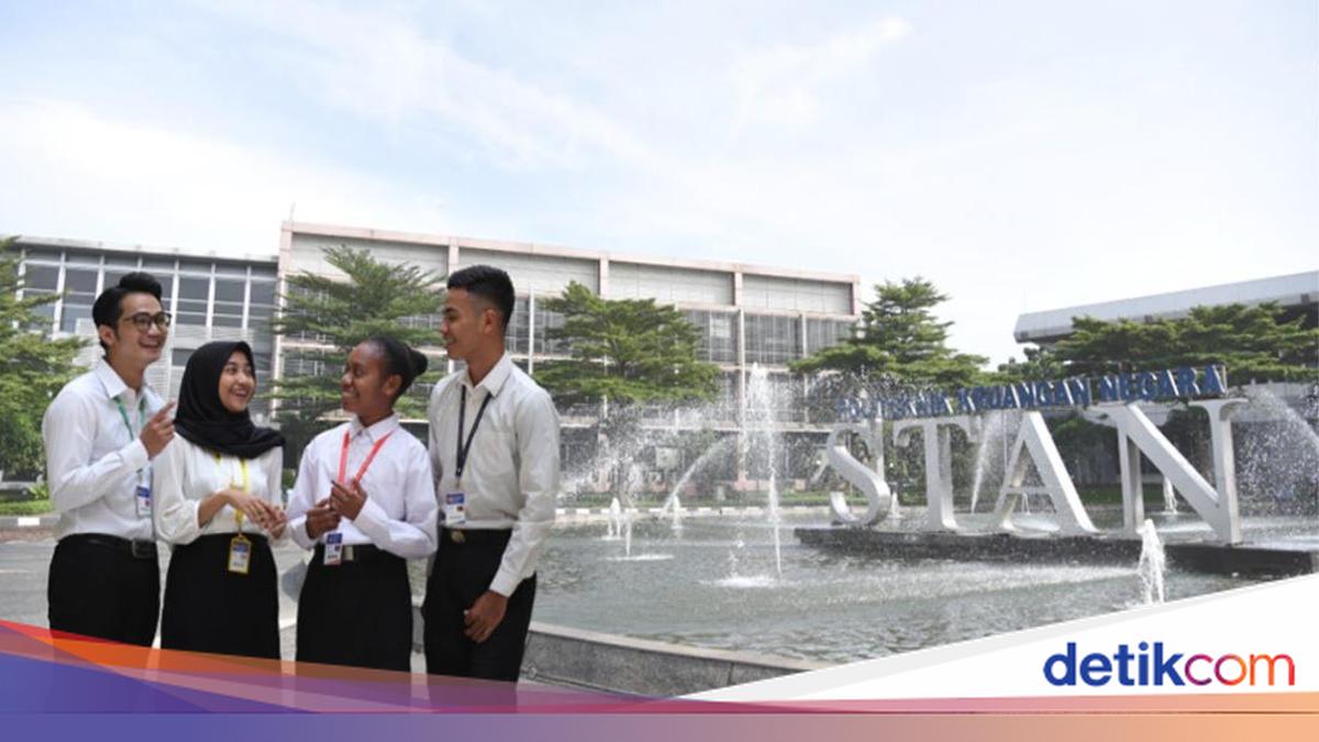 Hasil Akhir Seleksi PKN STAN 2025 Diumumkan, Cek Namamu di Sini!