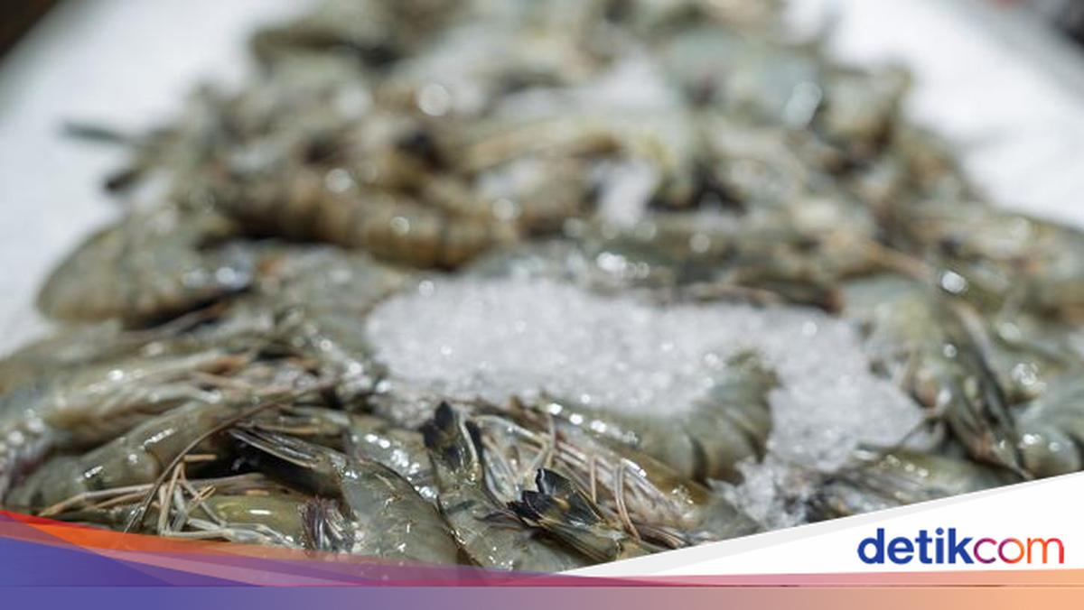 Heboh Udang Terkontaminasi Radioaktif, Pakar Ungkap Cara Aman Mengolahnya