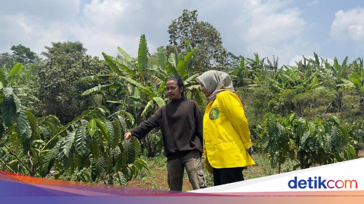 Inovasi Drip Bag dan Harmoni dengan Alam