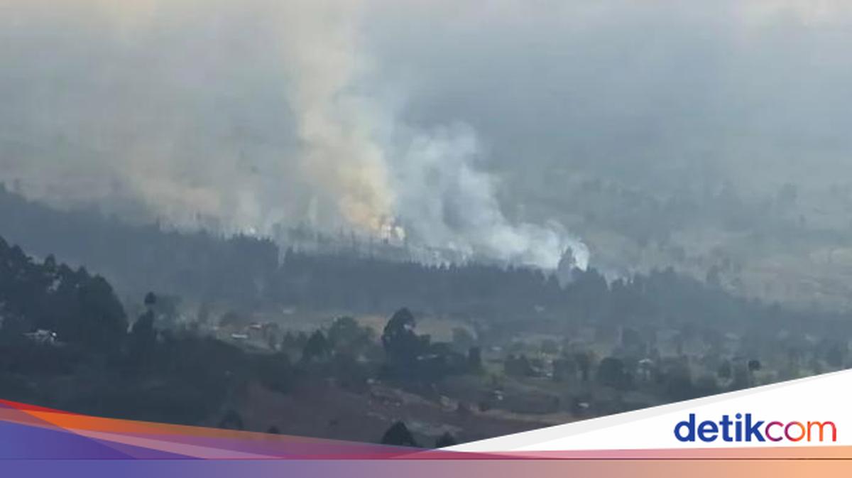Kawasan Hutan di Gunung Rinjani Kembali Terbakar!