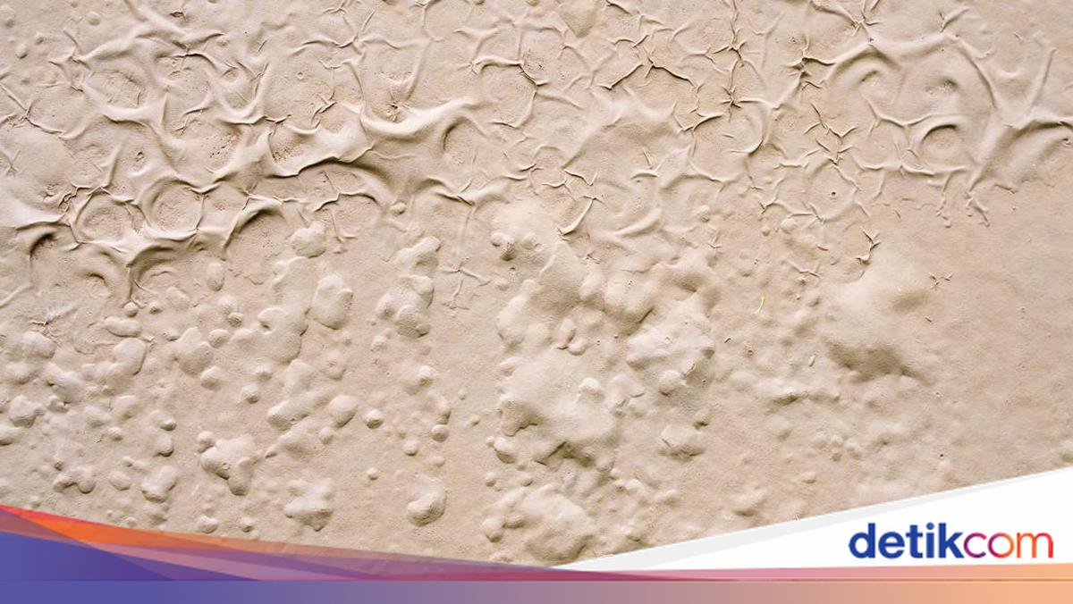 Kenapa Muncul Gelembung pada Cat Dinding? Ternyata Ini Biang Keroknya
