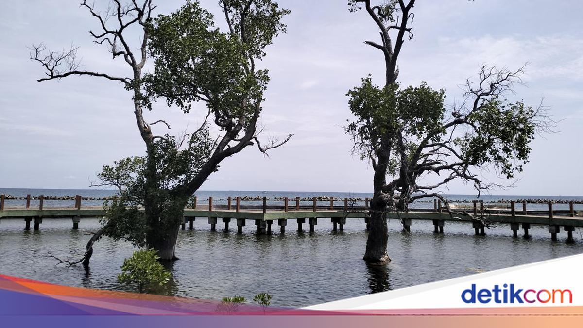 Kepulauan Seribu yang Ternyata Tidak Seribu, Bisa Tetap Menarik Asal...