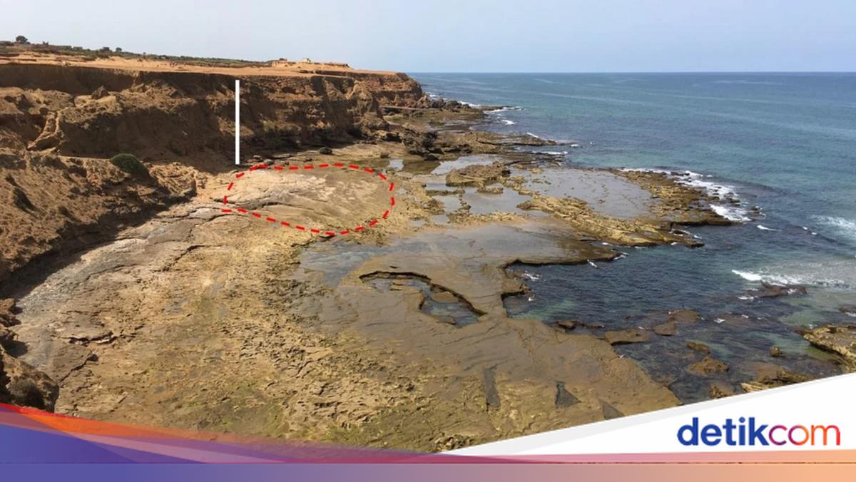 Kisah Jejak Purba dari 90.000 Tahun Lalu, Terawetkan di Pantai Maroko