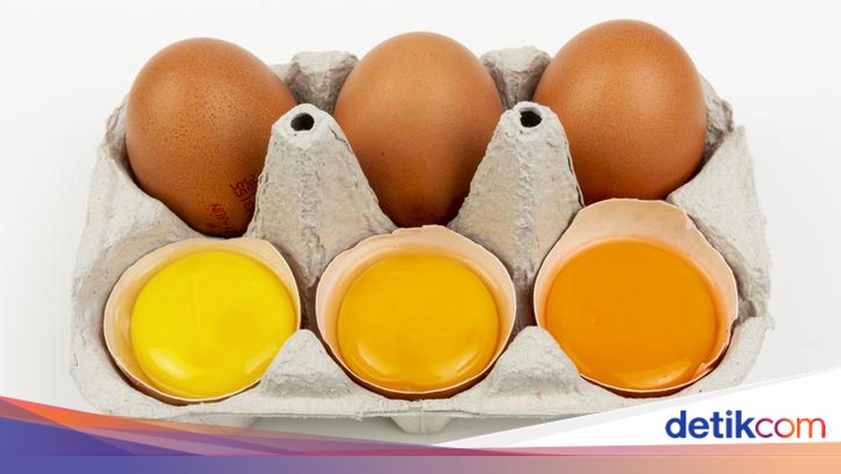 Kuning Telur Berwarna Pucat vs Oranye, Mana Lebih Sehat?