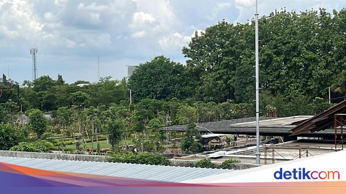 Lahan Rumah Pensiun Jokowi 12 Ha, Segini Perkiraan Harga Tanahnya Per Meter