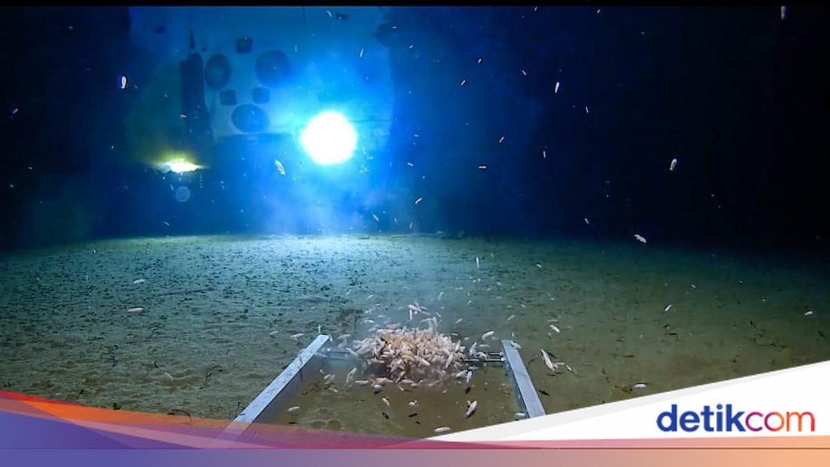 Laut Terdalam di Dunia: Misteri Challenger Deep