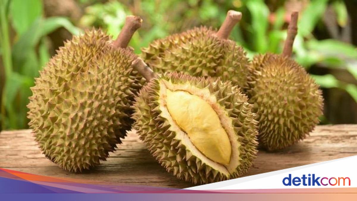 Legit dan Berkhasiat! 5 Manfaat Konsumsi Durian Menurut Ahli Kimia