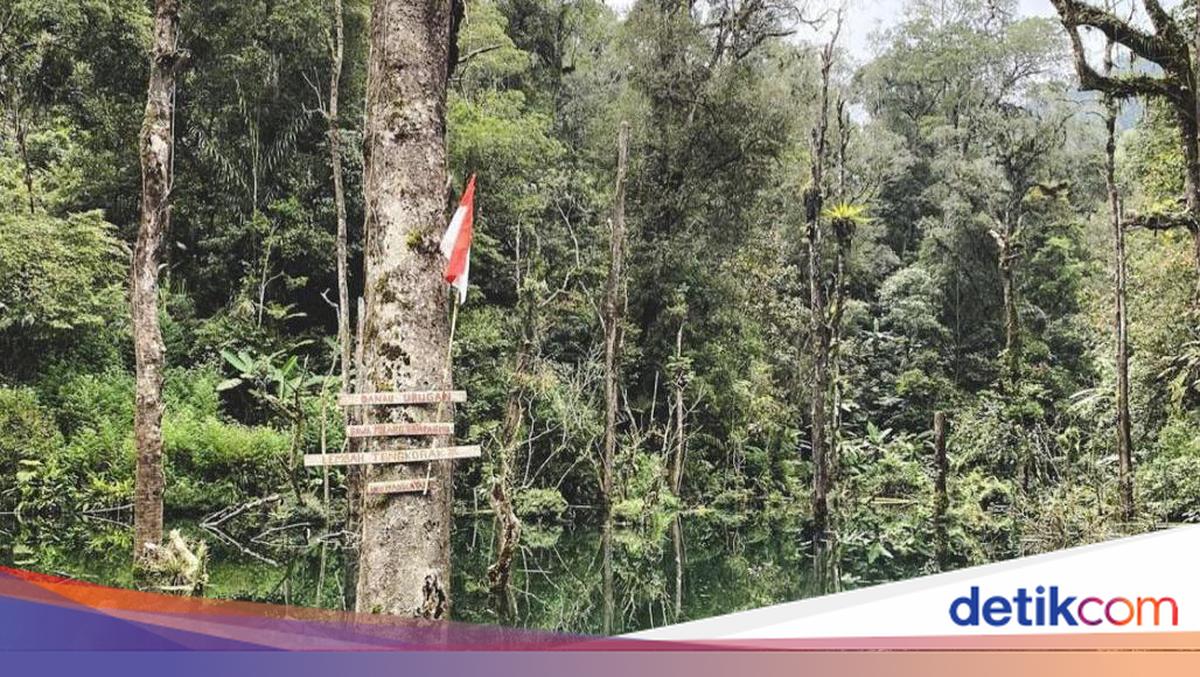 Lokasi Lembah Tengkorak, Tempat Ayah dan Anak Hilang Saat Trekking Bareng