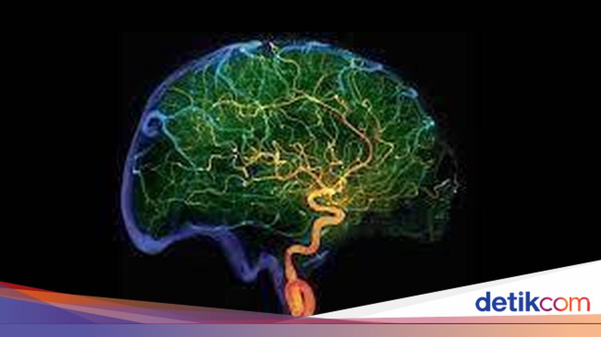 Makin Parah, Mikroplastik Sudah Menyusup ke Jaringan Otak Manusia