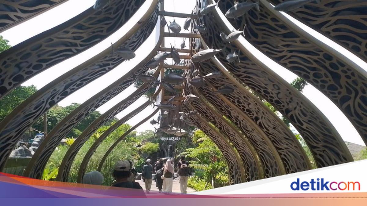 Mengenal Satwa dari Hutan Hujan Hingga Penghuni Laut Dalam di Marine Safari Bali