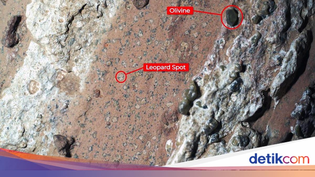 NASA Temukan 'Bukti' Baru di Mars, Benarkah Ada Potensi Kehidupan?