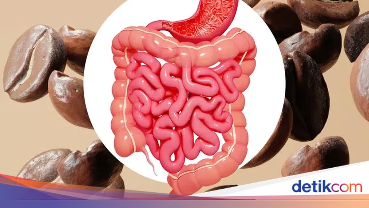 Peneliti Temukan Bakteri Baik pada Kopi yang Sehatkan Usus