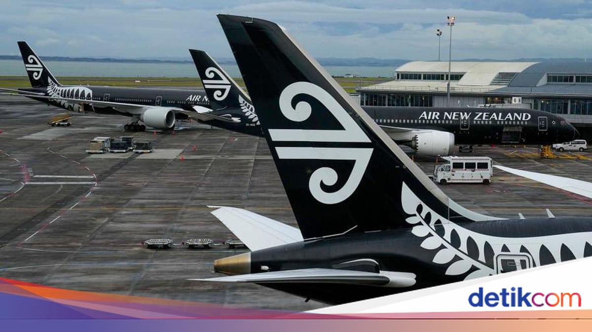 Pesawat Disambar Petir! Penumpang Menjerit Histeris, Muncul Bola Api