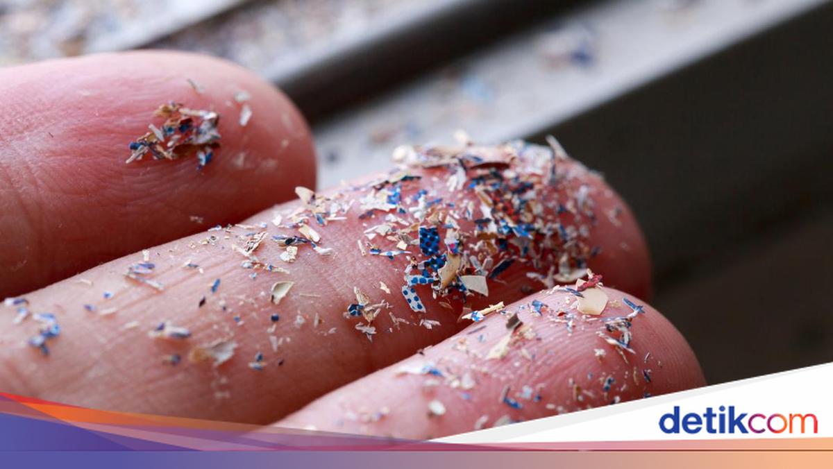 Polusi Mikroplastik Tingkatkan Resistensi Antimikroba