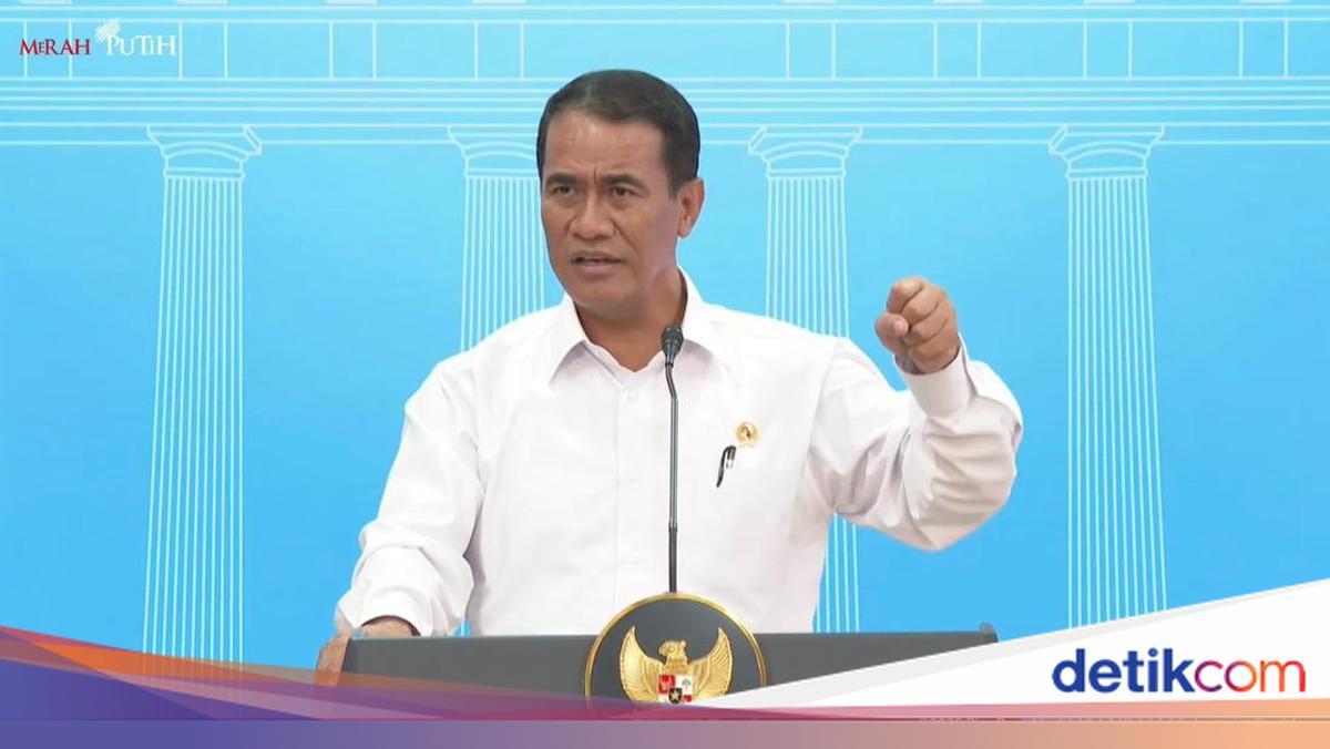 Profil Amran Sulaiman, Mentan Lulusan Unhas yang Diangkat Jadi Kepala Bapanas