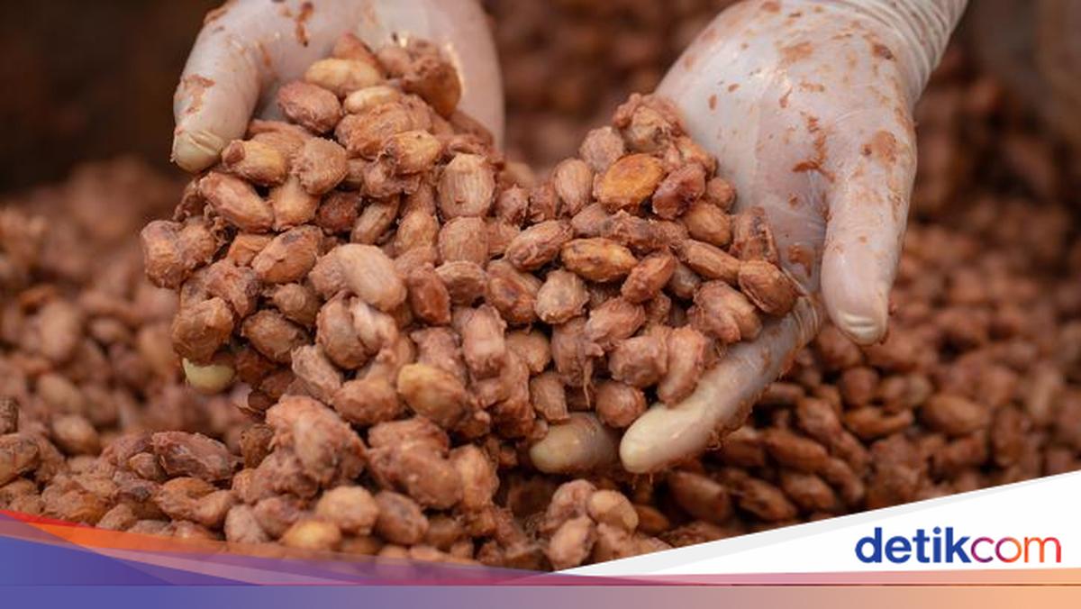 RI Masih Banyak Impor Kakao dari Afrika Barat