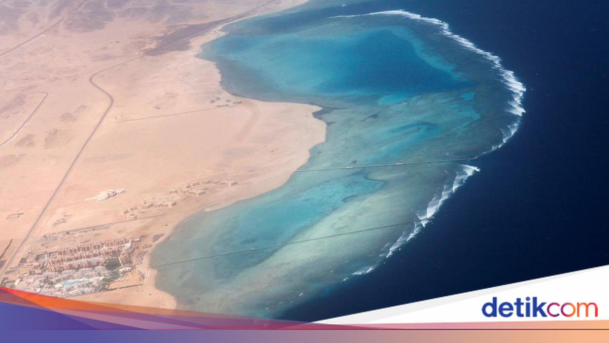 Studi Ungkap Air di Laut Merah Pernah Menghilang, Bagaimana Bisa Terisi Kembali?