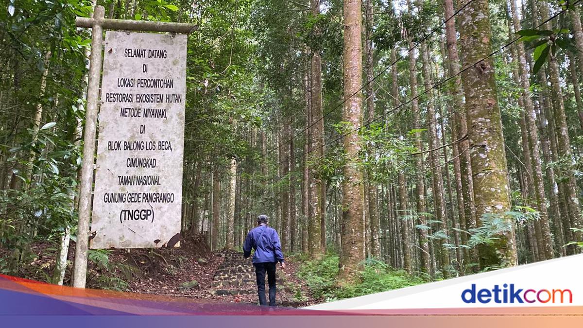 TN Gunung Gede Pangrango Tutup Pendakian, Fokus Bereskan Sampah!