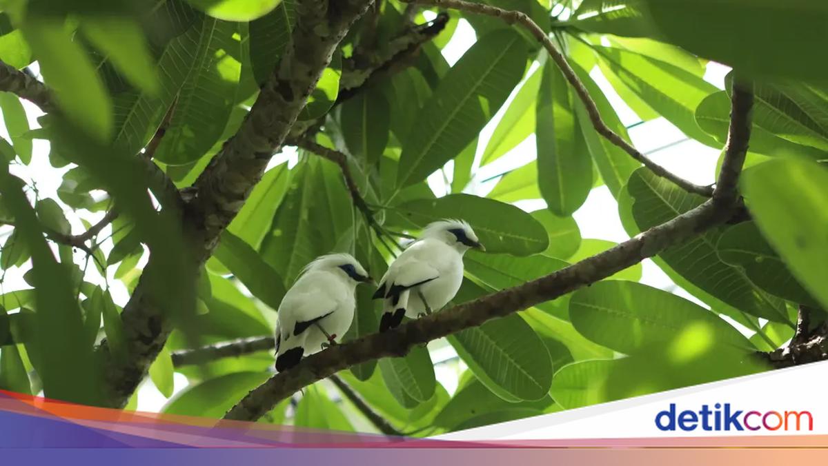 Tak Cuma buat Rekreasi, TSI Juga Jadi Tempat Edukasi dan Konservasi