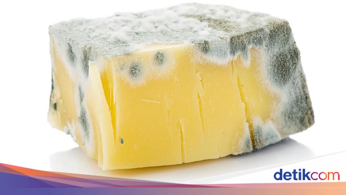Tak Semua Makanan Berjamur Berbahaya, Jenis Ini Masih Aman Dimakan