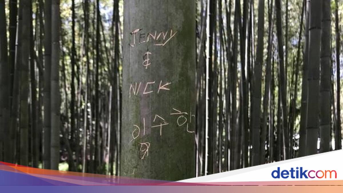 Tega, Keindahan Hutan Bambu Kyoto Dirusak Turis Nakal