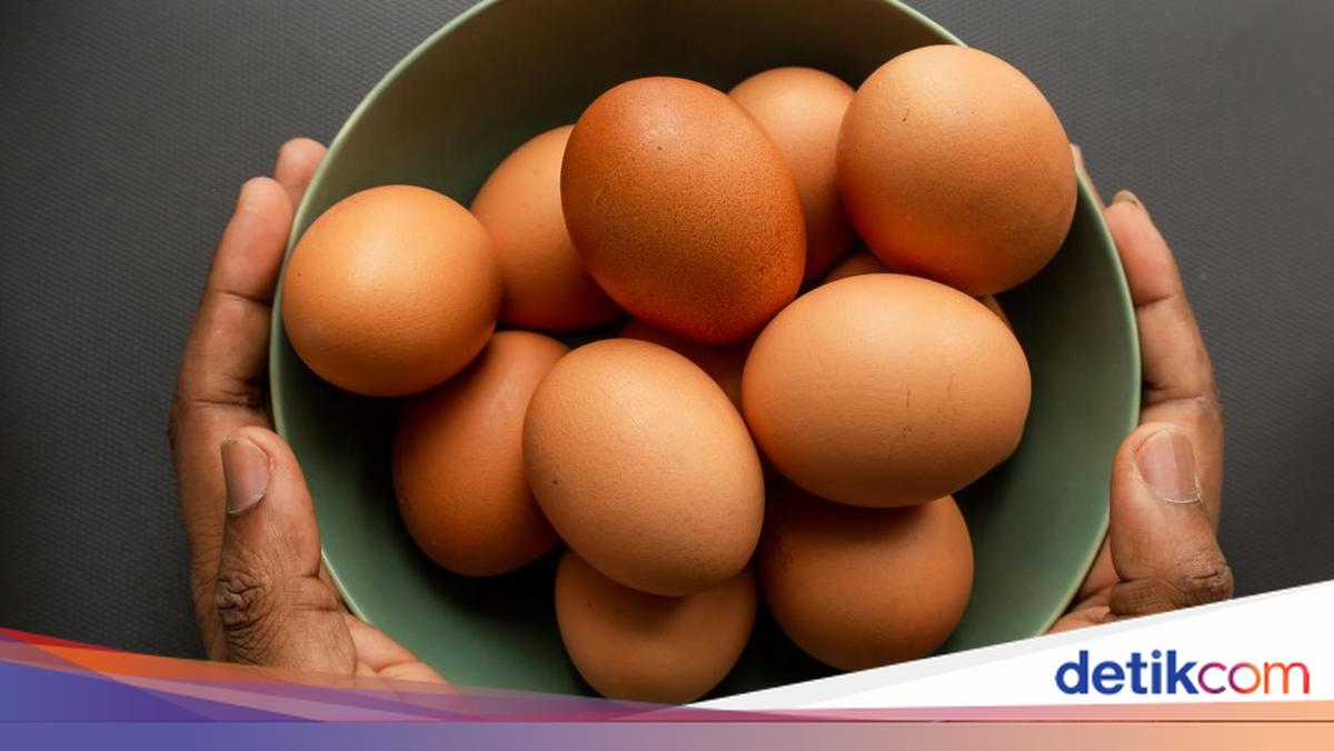 Telur Ayam Kampung, Negeri, hingga Organik: Mana yang Paling Sehat?