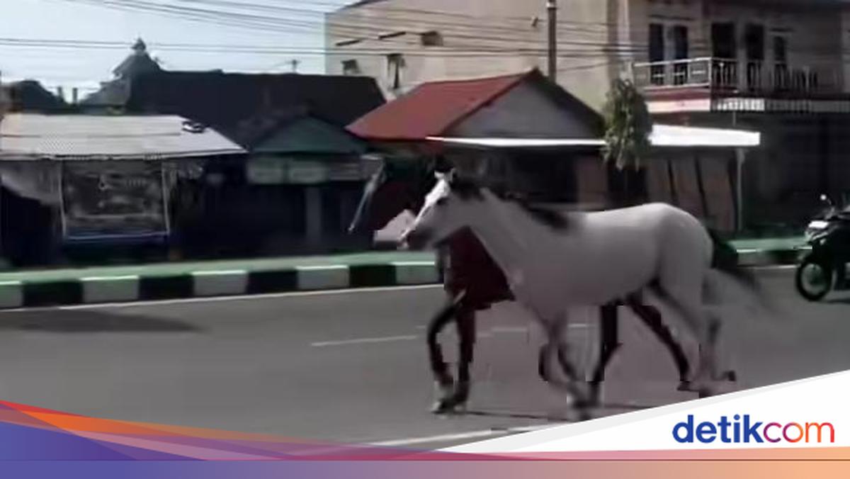 Viral Kuda Lari Santuy di Jalanan Solo-Jogja, Ini Fakta di Baliknya