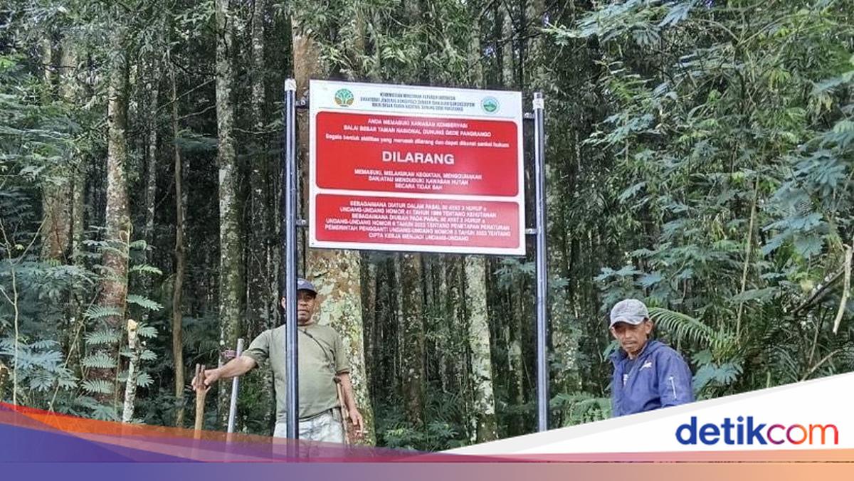 Viral Tanda Dilarang Masuk Kawasan TN di Jalur Curug Sudin Sukabumi, Ada Apa?